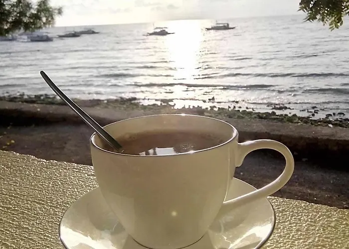 Island Front - Bangcogon And Restaurant 3* Oslob