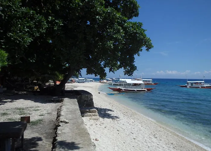 Island Front - Bangcogon And Restaurant Oslob